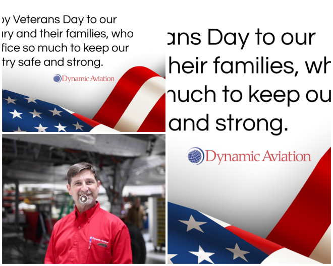 Review Dynamic Aviation image 4898