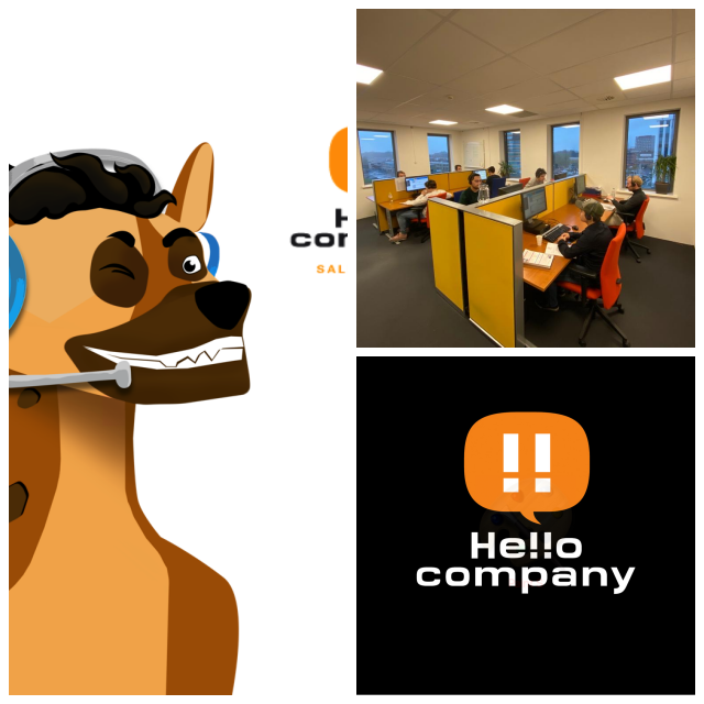 Review HelloCorp (Pvt.) Ltd. image 21770