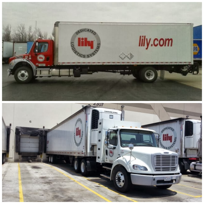 Review Lily Transportation image 61393