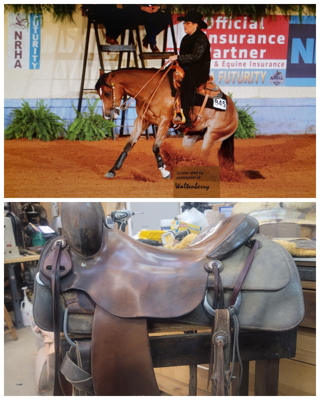 Review Mj liggett saddlery & braiding, llc image 313212