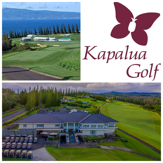 Review Kapalua - Plantation Golf Course image 44923