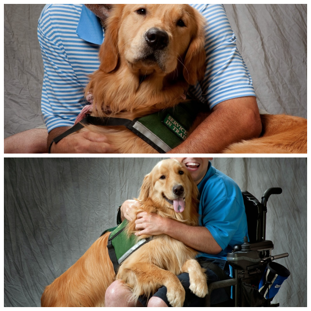 Review NEW HORIZONS SERVICE DOGS image 215834