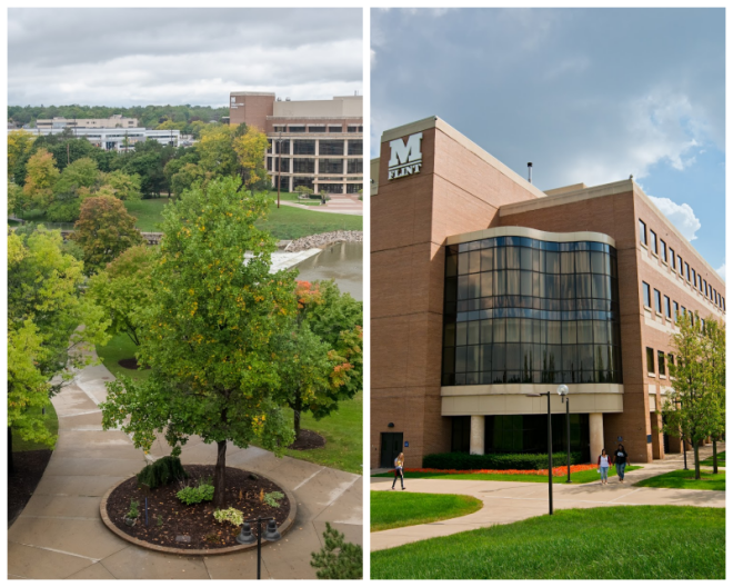 Review University of michigan-flint image 239849