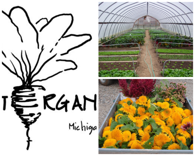 Review MSU Student Organic Farm image 45508