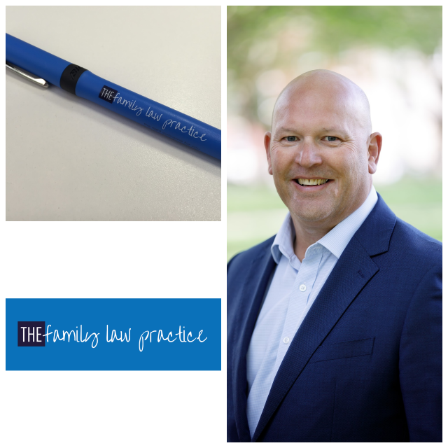 Review The Family Law Practice image 28075