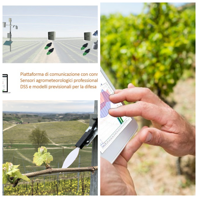 Review Netsens s.r.l. image 236909