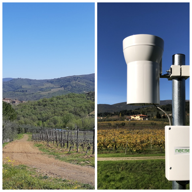 Review Netsens s.r.l. image 236910