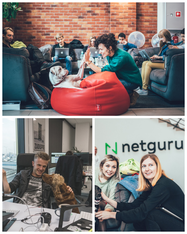 Review netguru image 79088