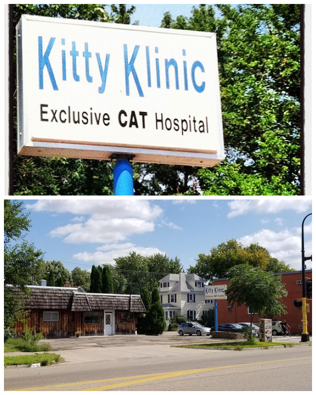 Review Kitty klinic image 308783