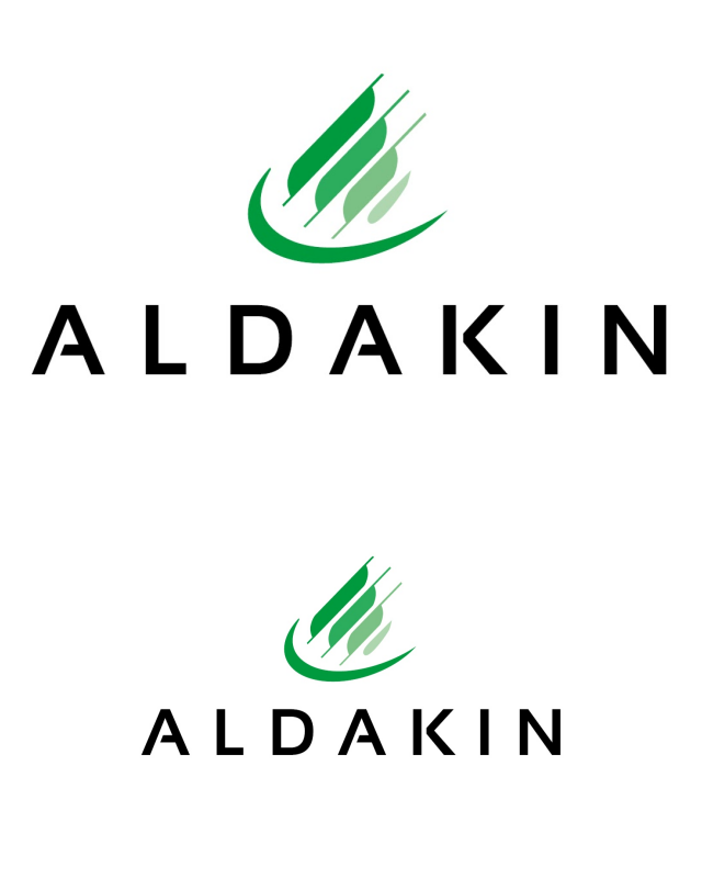 Review Grupo Aldakin image 83933