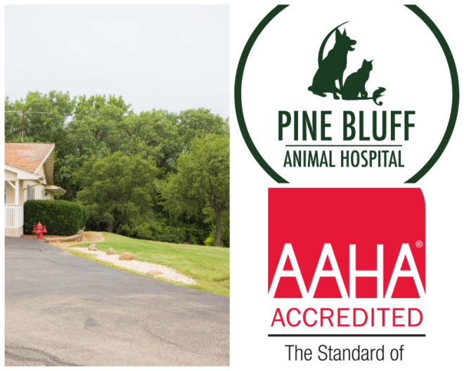 Review Pine bluff animal hospital image 337142
