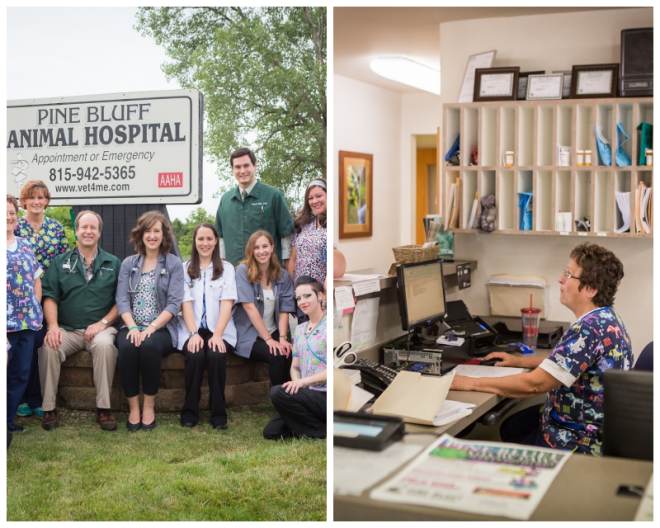 Review Pine bluff animal hospital image 337145