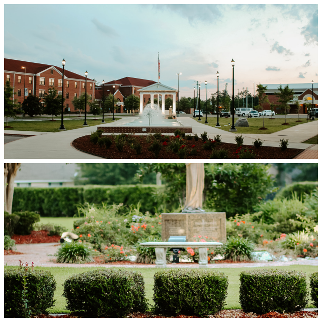 Review William carey university image 242866
