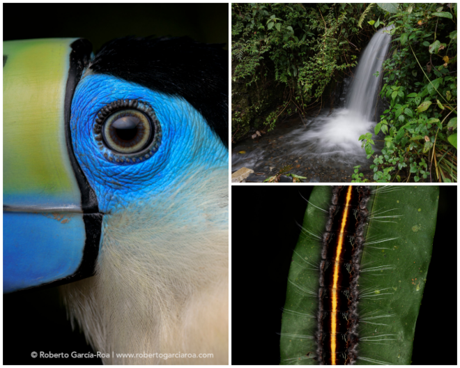 Review Fauna Forever Tambopata image 9592