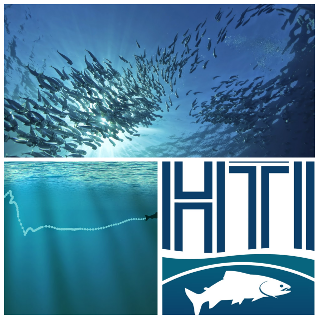 Review HTI Hydroacoustic Technology, Inc. image 49693