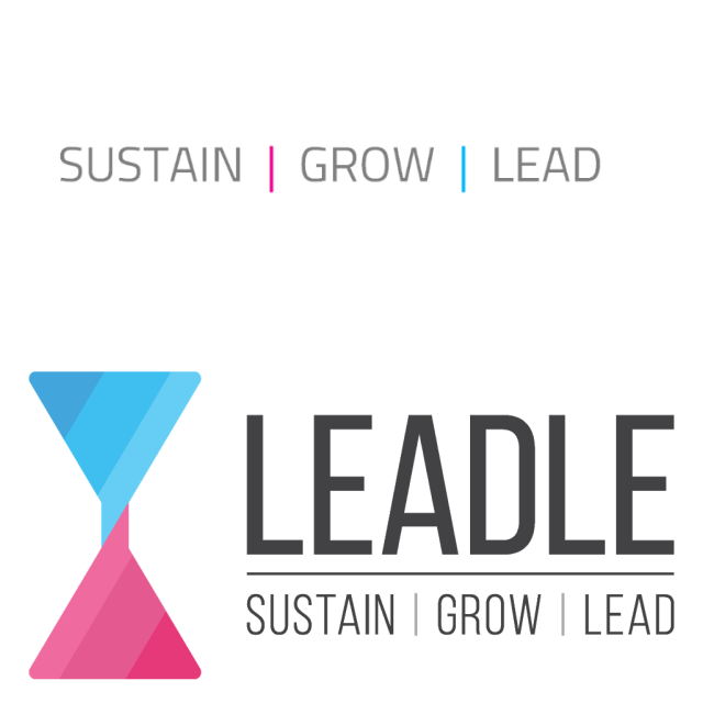 Review Leadle Consulting image 88590