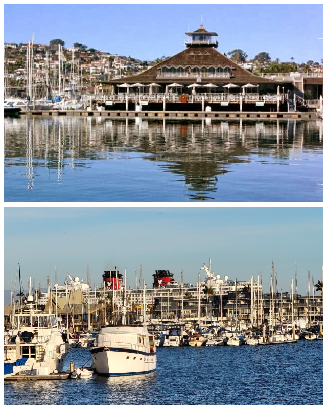 Review San Diego Yacht Club image 26500