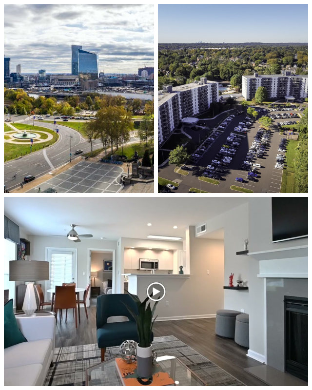 Review The galman group image 253780