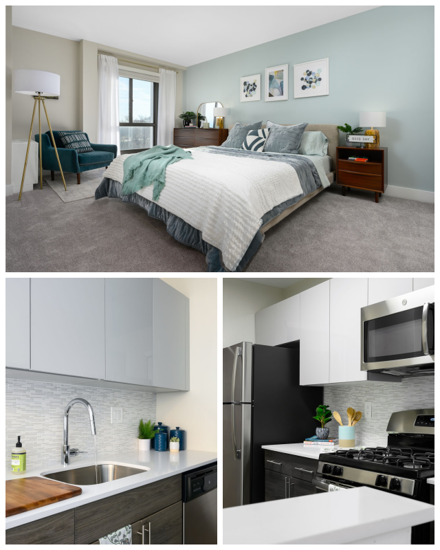 Review The galman group image 253783