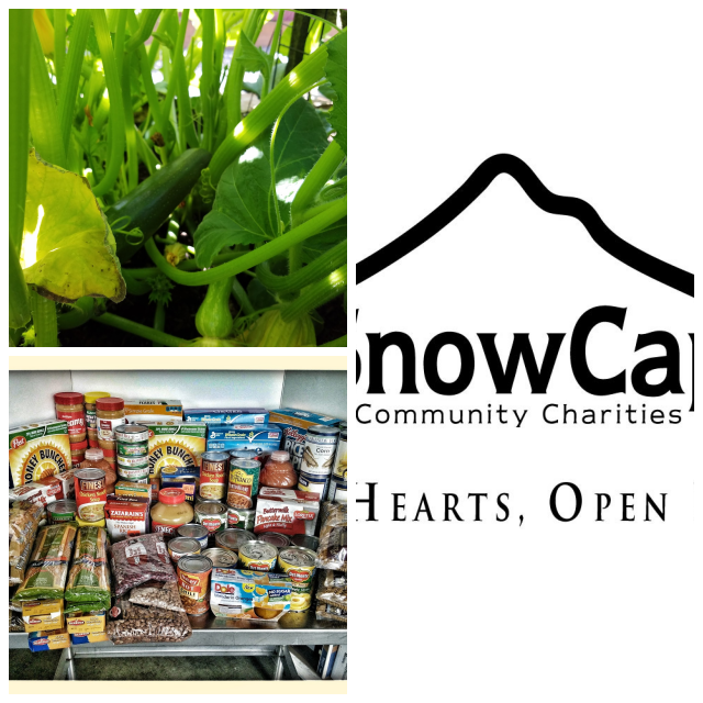 Review Snow Cap Community Charities image 173334