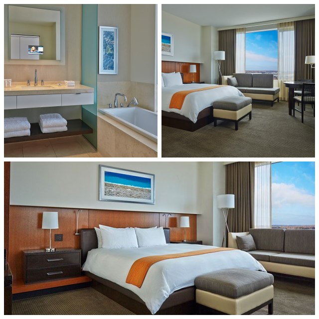 Review Hotel Arista Naperville image 28660