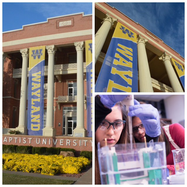 Review Wayland Baptist University image 240533