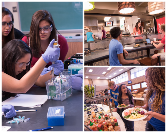 Review Wayland Baptist University image 240534