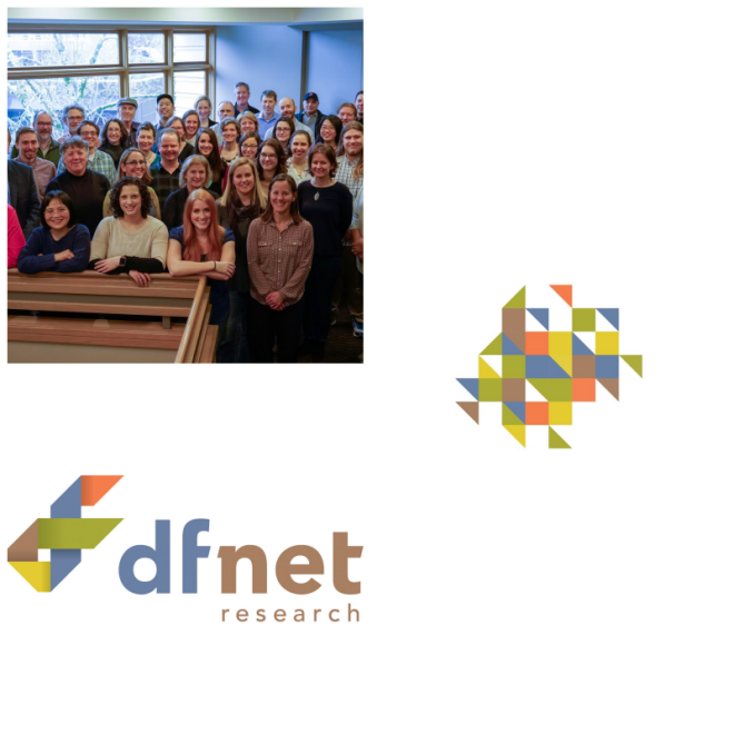 Review DF/Net Research, Inc. image 170581