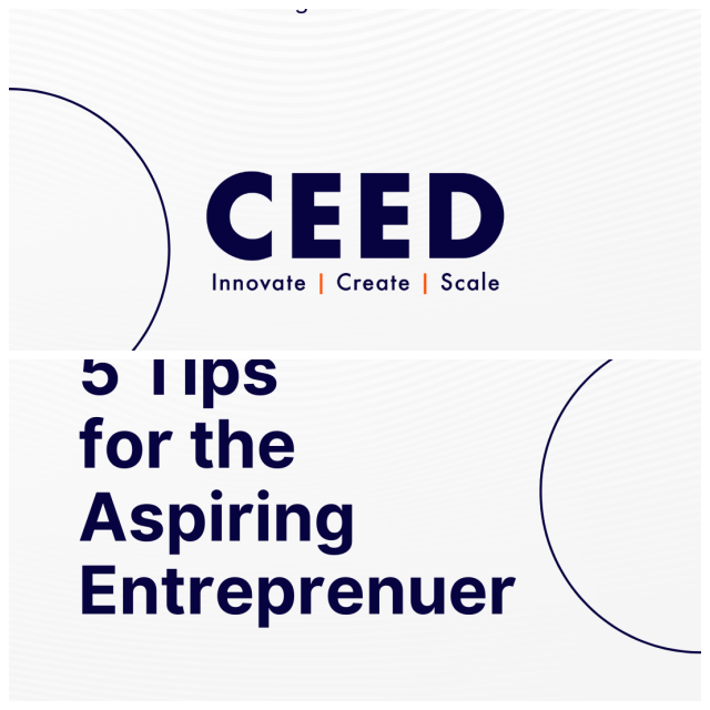 Review CEED, Centre for Entrepreneurship Education and Development image 16846
