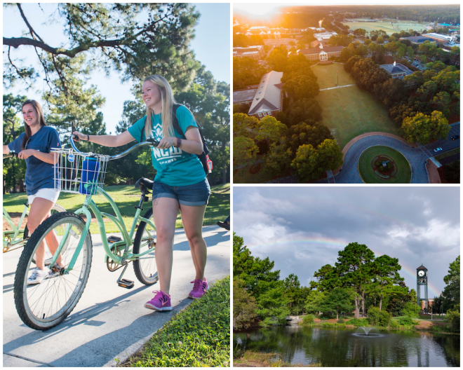 Review UNC Wilmington image 3478