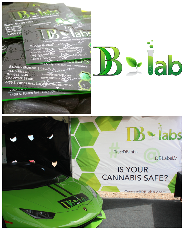 Review DB Labs image 237180