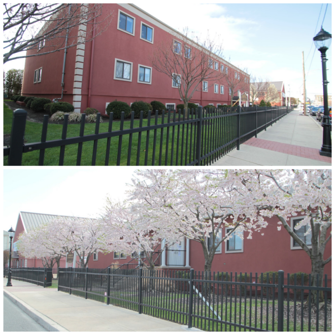 Review Chester community charter school image 246038