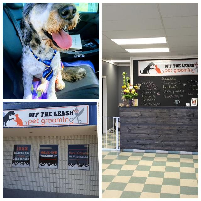 Review Off The Leash, Inc. image 97487