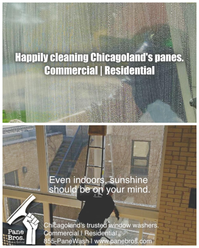 Review Pane bros. academy of window cleaning image 333736