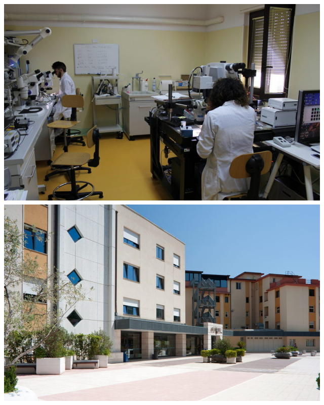 Review Istituto Neurologico Mediterraneo NEUROMED I.R.C.C.S. image 17885