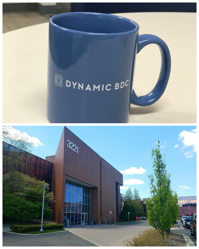 Review Dynamic bdc image 246696