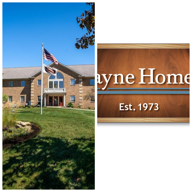 Review Wayne homes image 246208