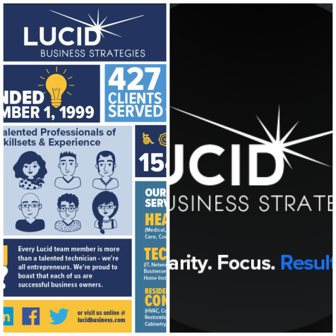 Review Lucid business strategies image 315352