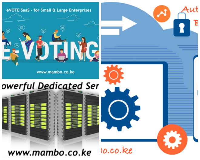 Review Mambo Microsystems Limited image 58089