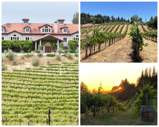 Review Byington Vineyard & Winery image 184372