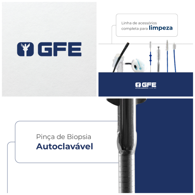 Review GFE do Brasil image 55164