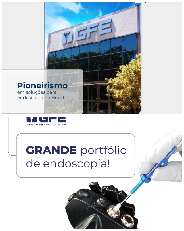 Review GFE do Brasil image 55165