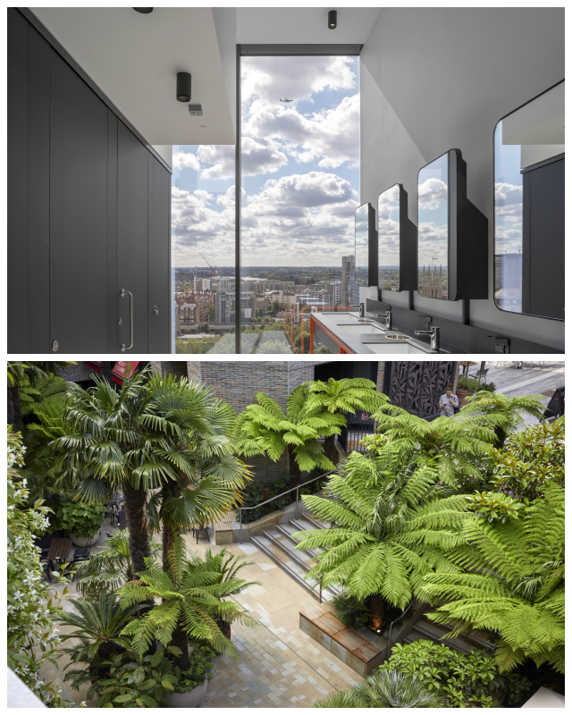 Review Tredinick & McGuire Architects image 38399