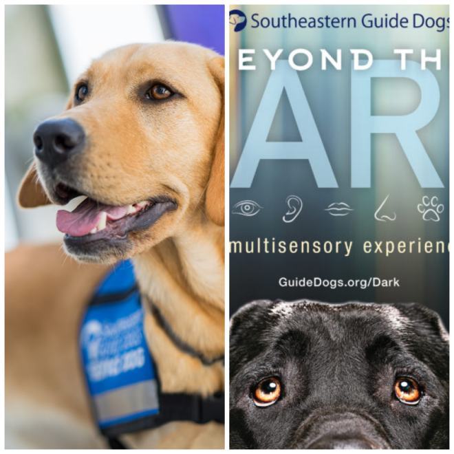 Review Southeastern Guide Dogs image 26128