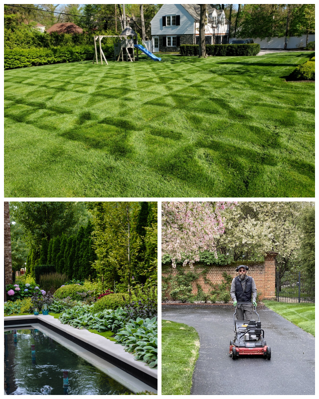 Review McCullough's Landscape & Nursery image 135246