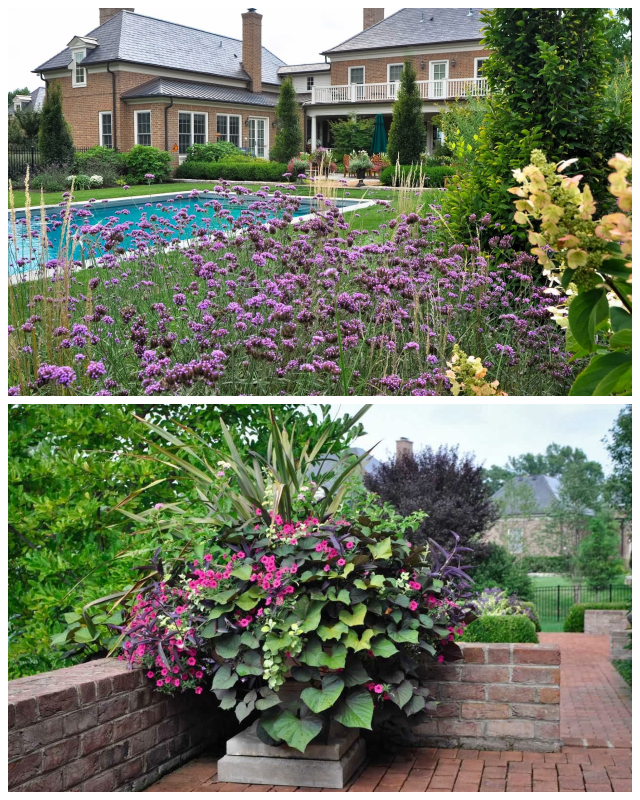 Review McCullough's Landscape & Nursery image 135248