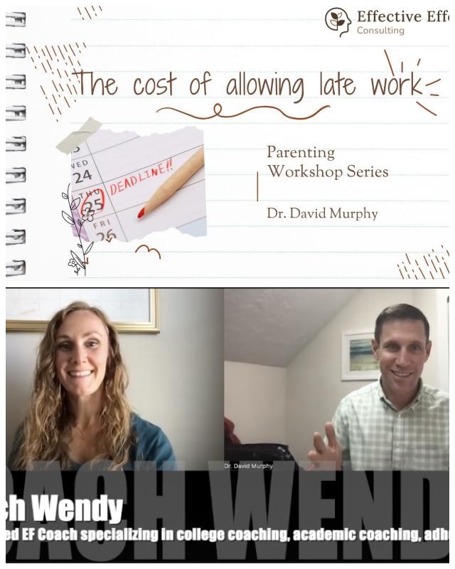 Review Effective effort consulting image 278834