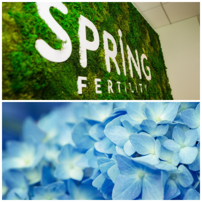 Review Spring fertility image 256442