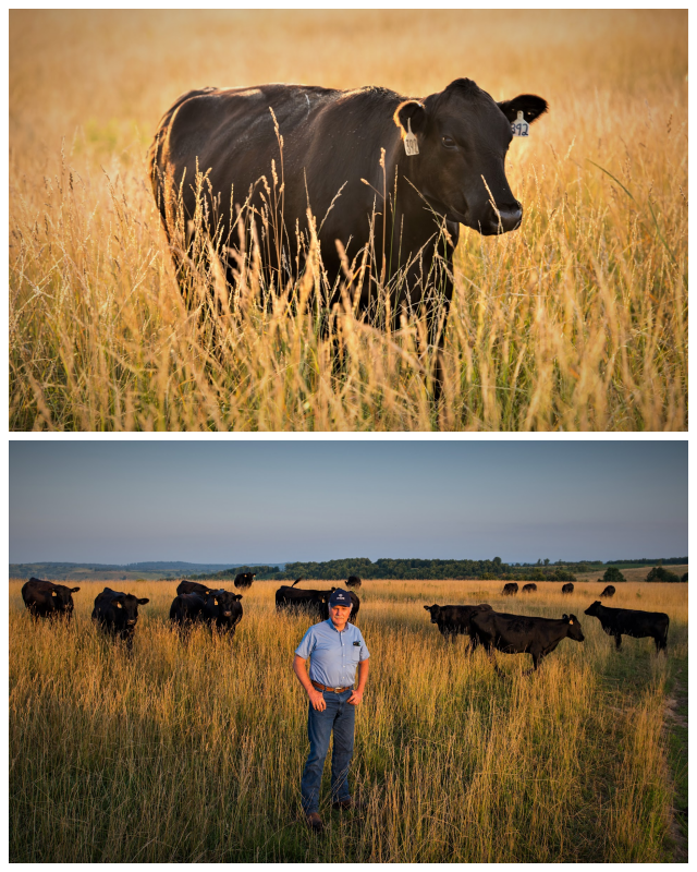 Review J-B Cattle and Pecans image 193017
