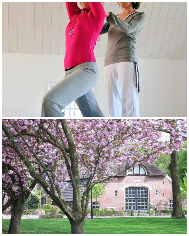 Review Yogastudio Groot Baltink image 149817